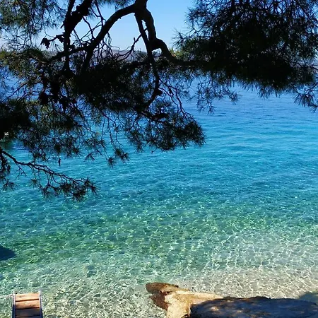 Kiwi & Olive Apartman Brela