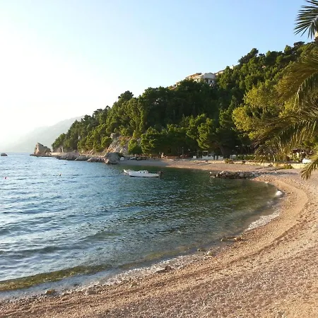 Kiwi & Olive Appartement *