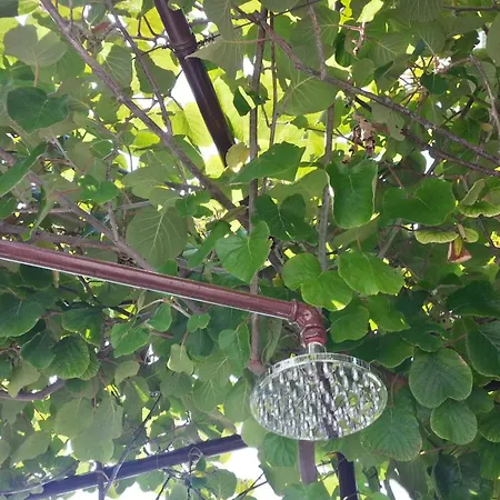 Kiwi & Olive Appartement Brela