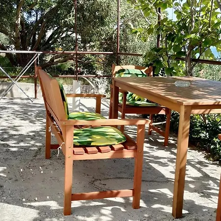 Kiwi & Olive * Brela