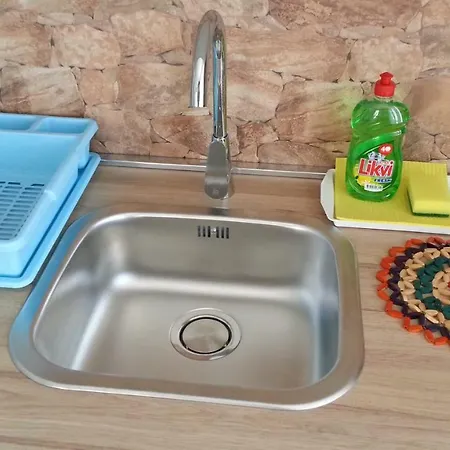 Kiwi & Olive * 布雷拉