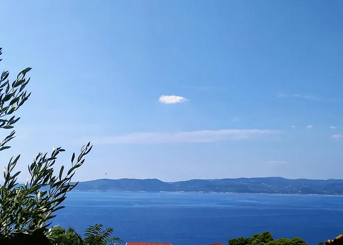 Kiwi & Olive Apartamento *