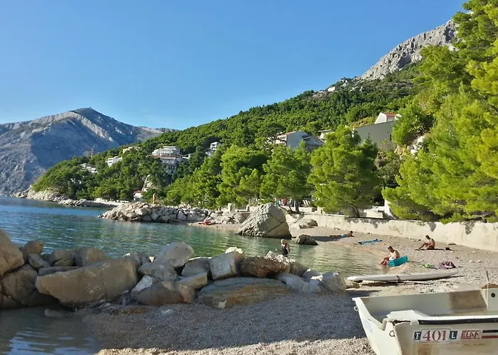 Kiwi & Olive بريلا