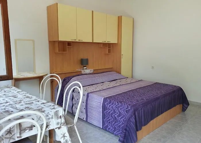 Kiwi & Olive Apartamento