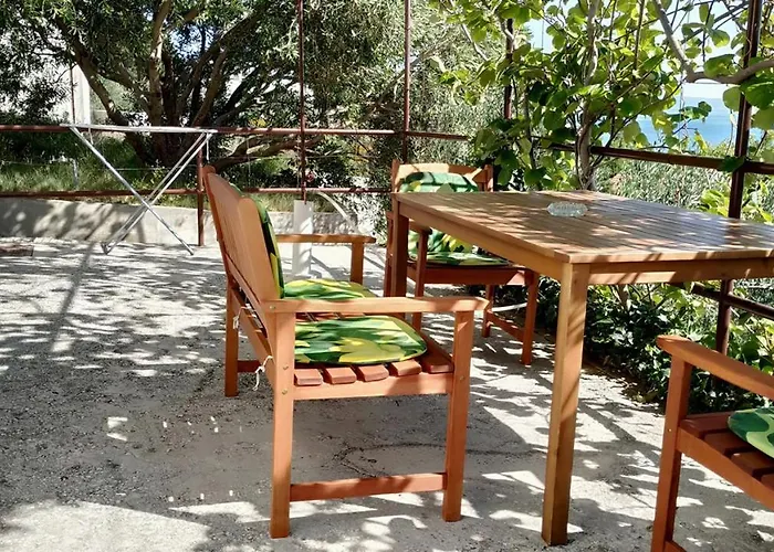 Kiwi & Olive * بريلا