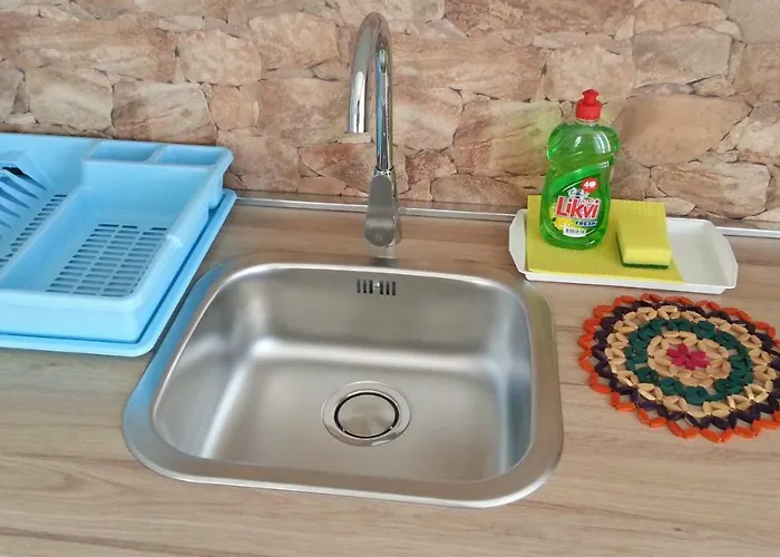 Kiwi & Olive * Brela